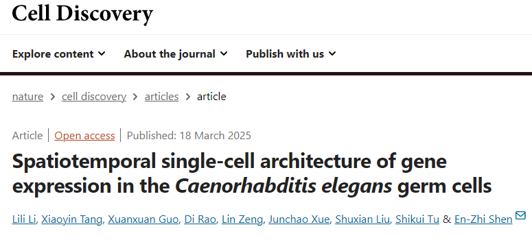 生命科学学院申恩志团队揭示秀丽隐杆线虫的生殖单细胞转录图谱