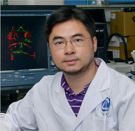 SLS Seminar Series | Lingfei Luo：Celluar and Molecular Mechanisms of ...